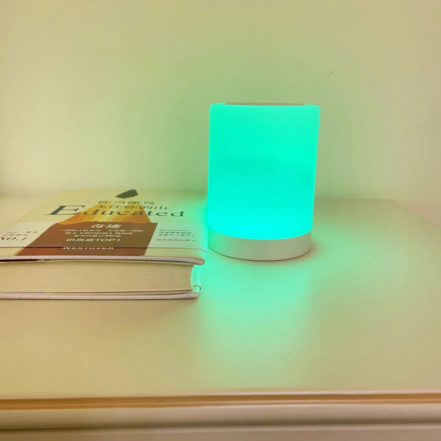Touch Control Dimmable Night Light