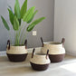 Wicker and Rattan Baskets